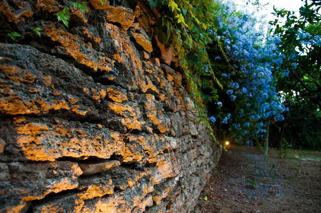 Gli Aranci Bed & Breakfast Agropoli Exterior photo