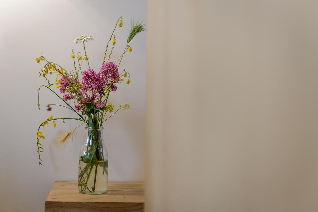 Gli Aranci Bed & Breakfast Agropoli Exterior photo